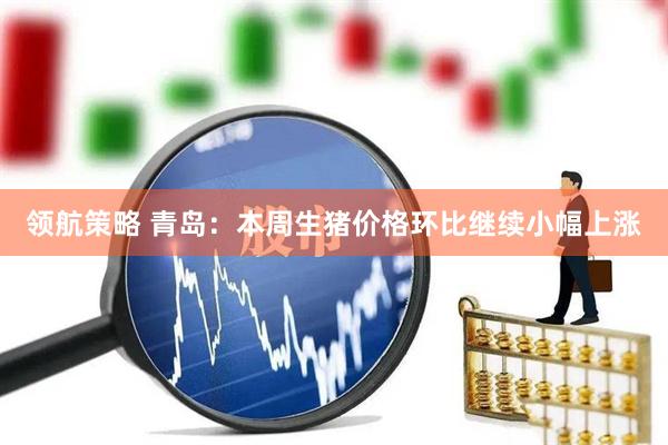 领航策略 青岛：本周生猪价格环比继续小幅上涨