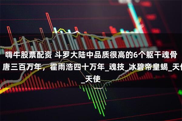 嗨牛股票配资 斗罗大陆中品质很高的6个躯干魂骨：唐三百万年，霍雨浩四十万年_魂技_冰碧帝皇蝎_天使